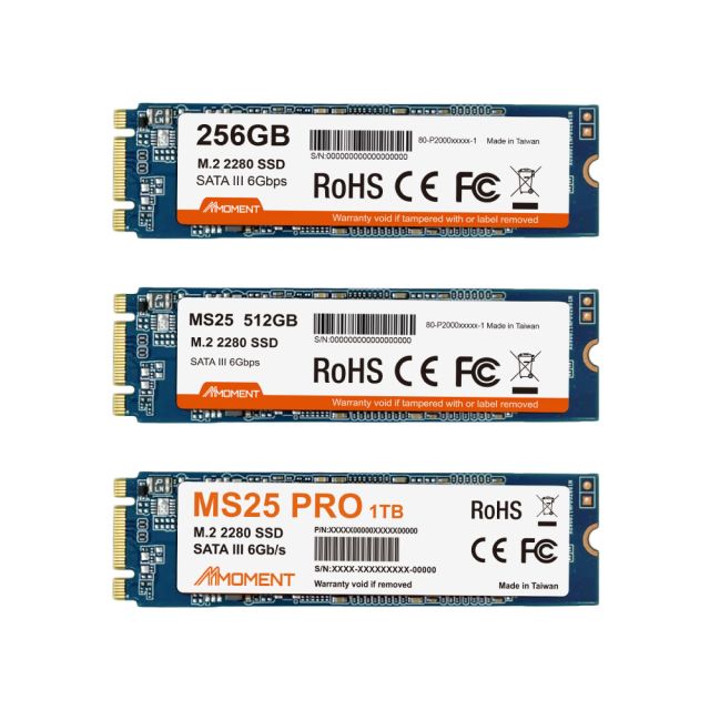 MMOMENT MS25 Pro 2280 SSD 1TB M.2 SATA Ⅲ MS23 MS25 MS25 PRO -SATA III M.2 2280 SSD-Moment